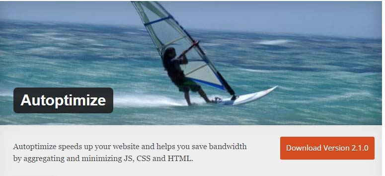plugin wordpress minificar html css y js